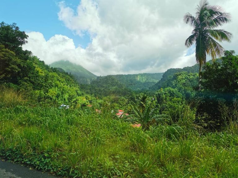 Roseau (Dominica)