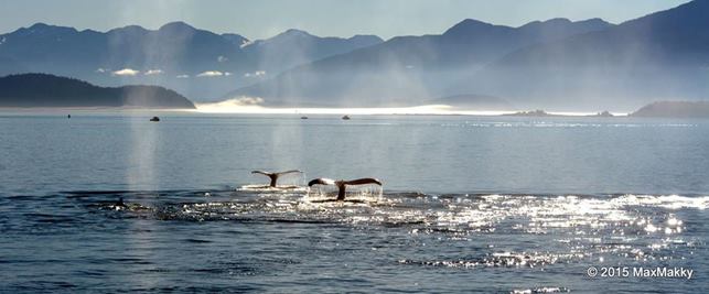 Juneau